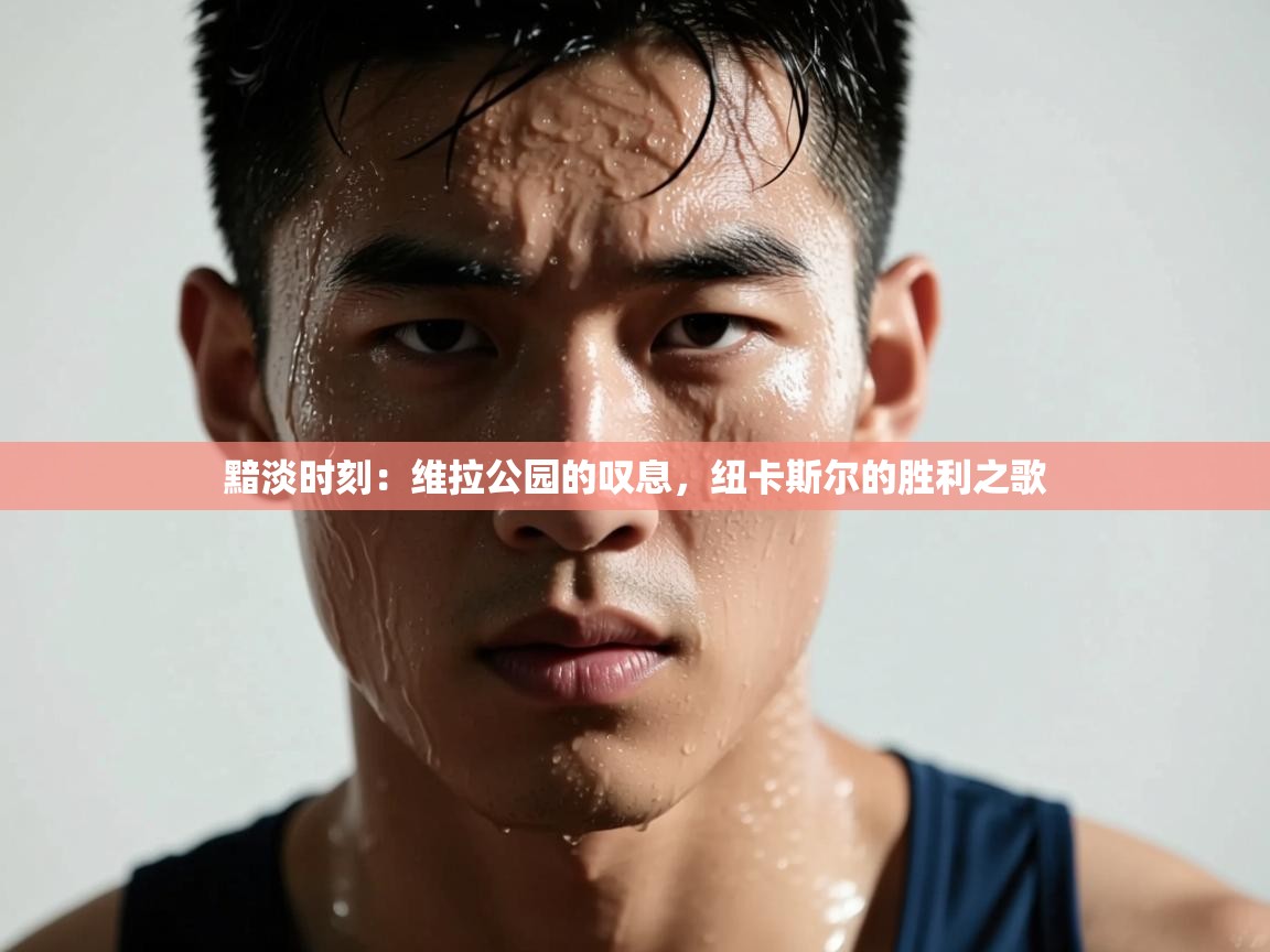 黯淡时刻：维拉公园的叹息，纽卡斯尔的胜利之歌